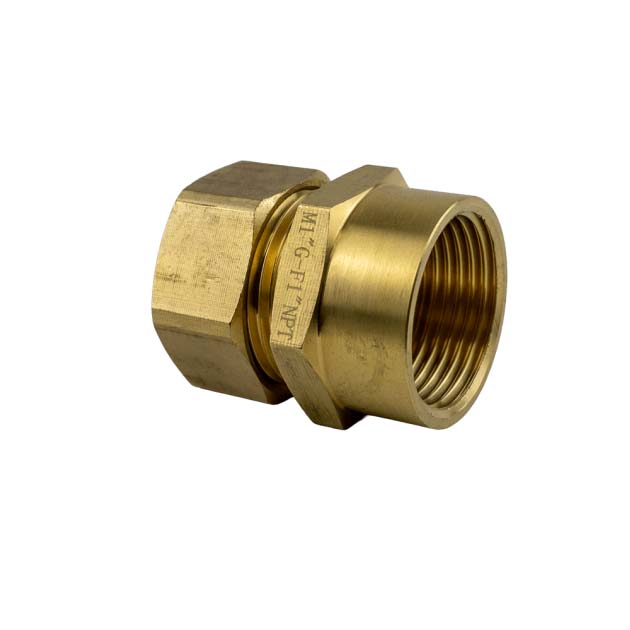 Solar Pipe Fitting Aurora 1 to 1 FPT Adapter